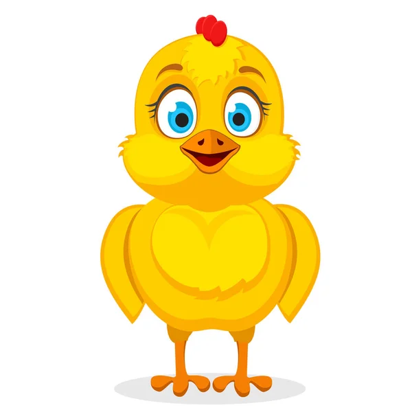 Little chicken smiling, standing on a white. — Stock Vector