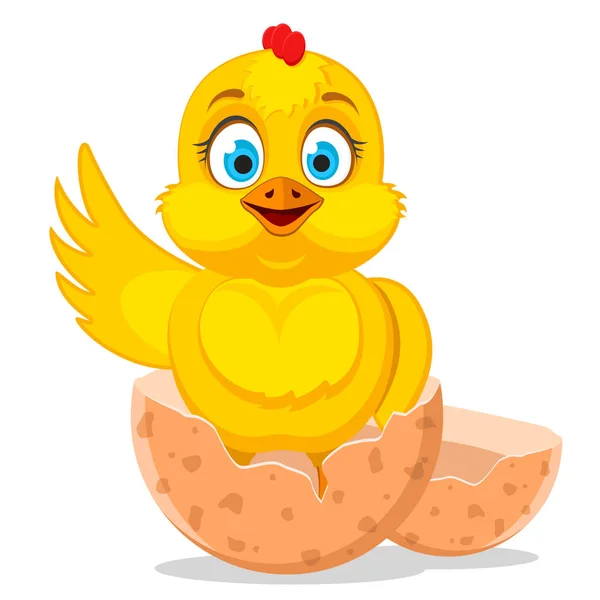 Little chicken just hatched and waving its wing on a white. — Stock Vector