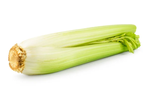Celery Haste Close Fundo Branco Isolados — Fotografia de Stock