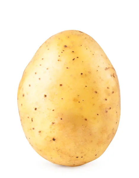 En potatis närbild på en vit bakgrund. — Stockfoto