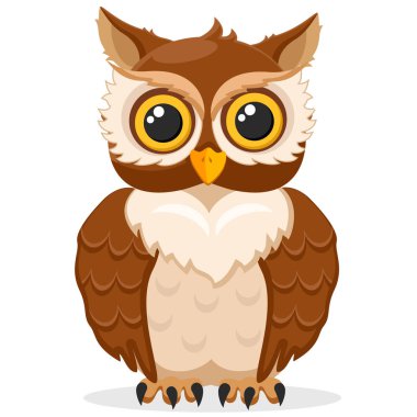 Beyaz bir arka planda baykuş. Kuş yırtıcı.