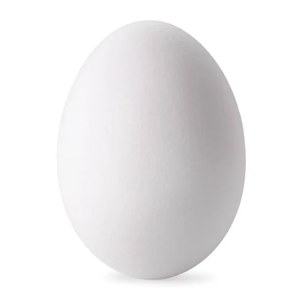 白鶏の卵。白い背景に、孤立した. — ストック写真