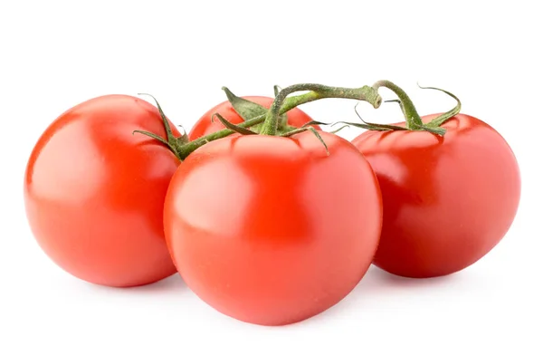 Pomodori rossi su un ramo primo piano, su un bianco. Isolato . — Foto Stock