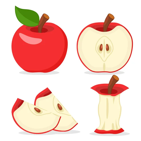 Ensemble de pommes rouges, moitié, tranches et mangé sur un blanc . — Image vectorielle