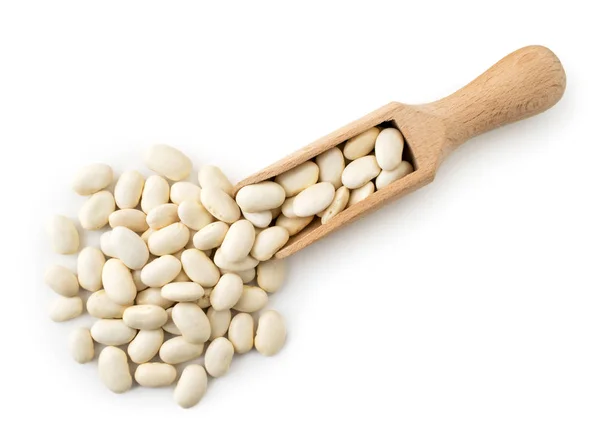 White beans spilled from a wooden spoon. The form of the top. — 스톡 사진