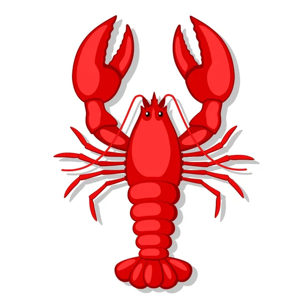 Homard rouge sur un blanc. La forme du haut . — Image vectorielle