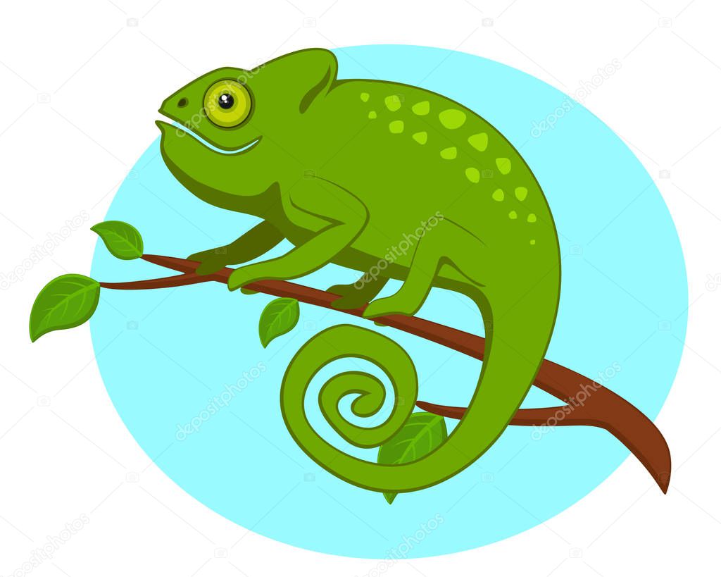Chameleon sitting on a tree branch.