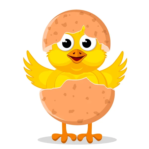 Chicken hatched from an egg on a white background. — Stock Vector