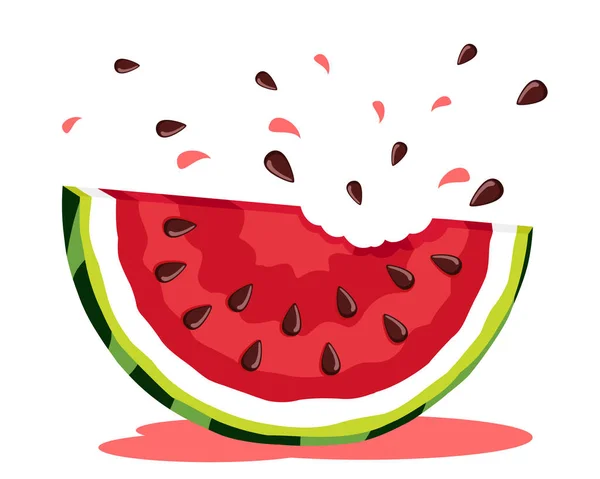 Stukje watermeloen met beten, op een witte achtergrond. — Stockvector