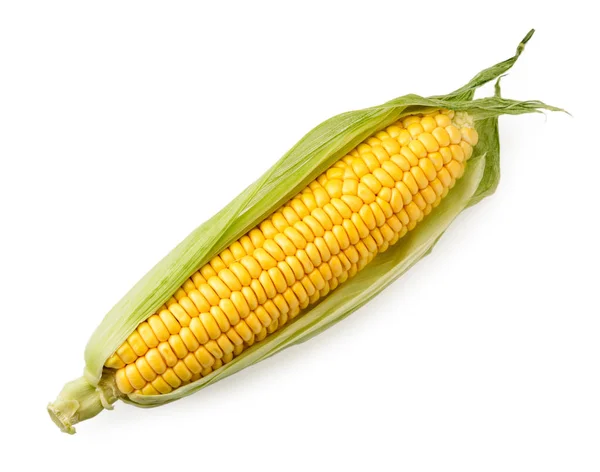 Rijpe maïs COB in bladeren op een witte, geïsoleerde. Het uitzicht op de top. — Stockfoto