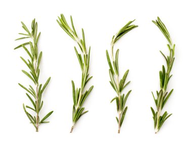 Bir beyaz üzerinde biberiye dört dal. Üst görünümü.