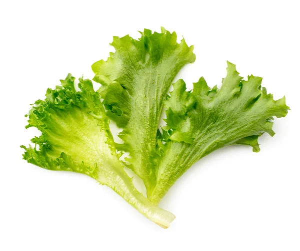 Three lettuce leaves on a white background. The view of the top. — Stock Photo, Image