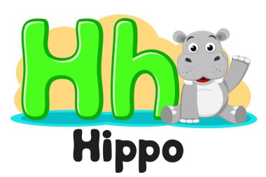 Hayvanlarla alfabe, su aygırı beyaz üzerinde Hh harfinin bir su birikintisi içinde oturuyor. Okul öncesi eğitim.