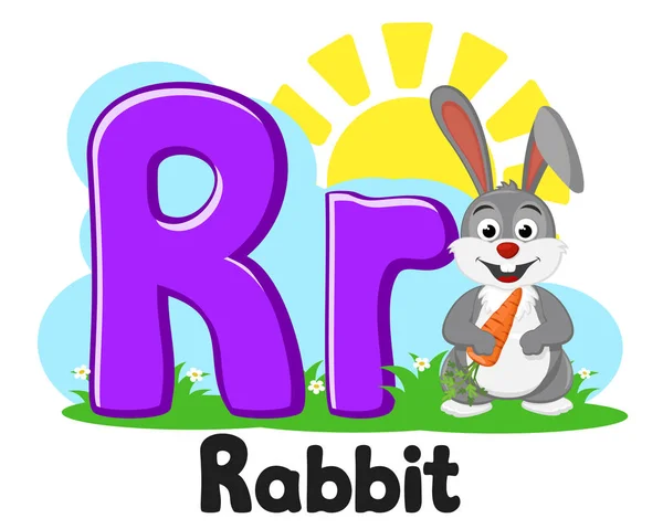 Alphabet avec des animaux, lapin avec la lettre de carotte Rr sur un blanc. Enseignement préscolaire . — Image vectorielle