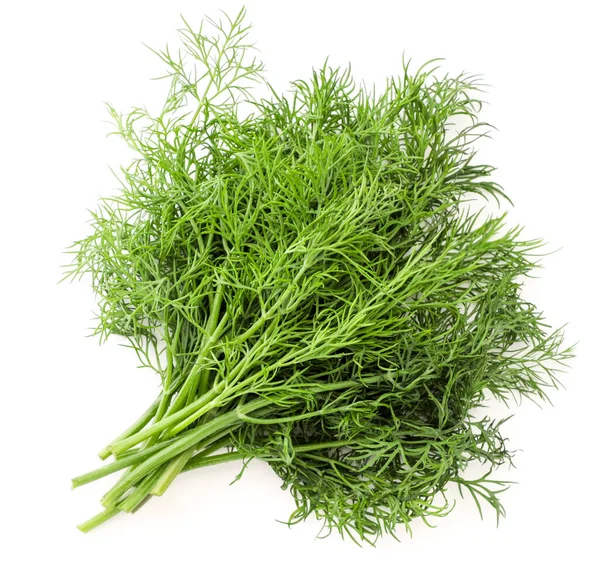 Fresh Dill Bunch Closeup White Background Isolated View Top — Stock Photo, Image