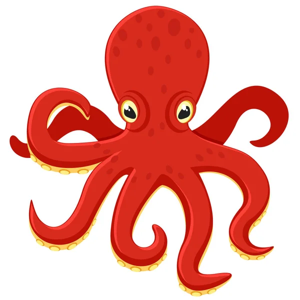 Pulpo Realista Rojo Sobre Fondo Blanco Mundo Submarino — Vector de stock