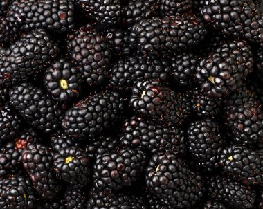 Blackberry yakın plan, arka plan. Yukarıdan görünüm