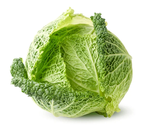 Savoy Cabbage Close White Background Isolated — Stock Photo, Image