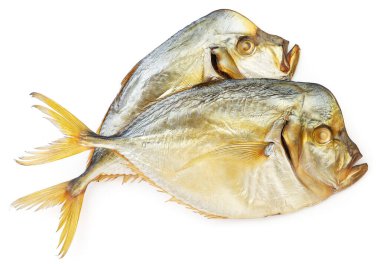 Beyaz izole arka planda kusmuk balıkları. Yukarıdan görünüm