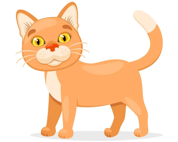 Orange Cat Stands Smiles White Background — Stock Vector