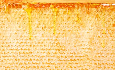 Balpeteklerini yakın plan ile çerçevelediğimizde, bal aşağı doğru akar. Bal peteği arkaplanı