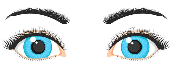 Naturlig Blå Kvinnliga Ögon Och Ögonbryn Närbild Vit Bakgrund — Stock vektor