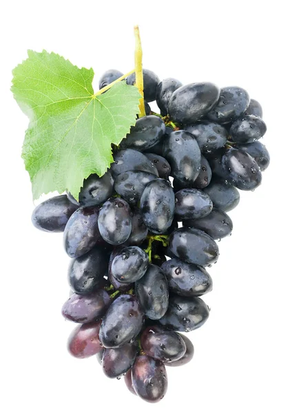 Een tros druiven met een blad close-up op een witte achtergrond. geïsoleerd — Stockfoto