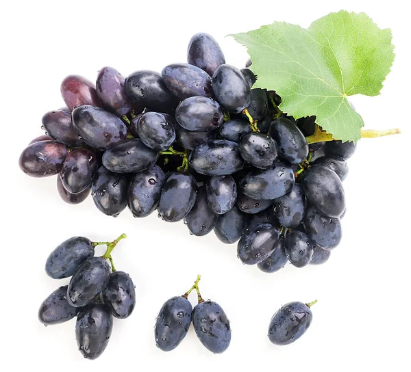 Conjunto de cachos de uvas, galho e baga sobre fundo branco, isolado. A vista de cima — Fotografia de Stock