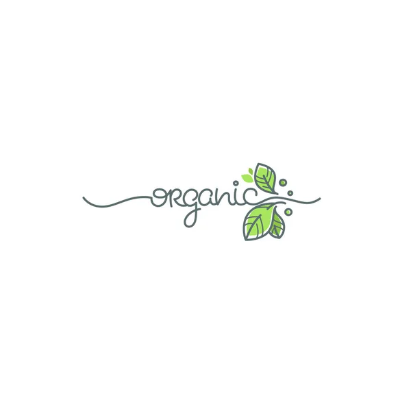 Beleza Natureza Doodle Orgânico Deixar Emblema Moldura Logobeleza Natureza Doodle — Vetor de Stock