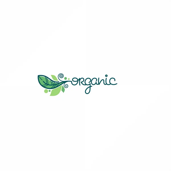 Beauty Nature Doodle Organic Leave Emblem Frame Logobeauty Nature Doodle — Stock Vector
