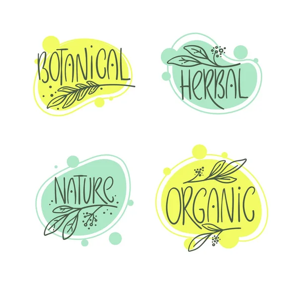 Botanische Biologische Pflanzliche Natur Set Von Handgezeichneten Logo Lebel Und — Stockvektor