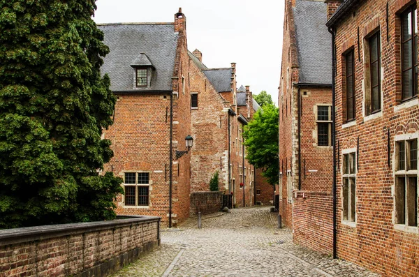 Vista Casa Ladrillo Belga Groot Begijnhof Leuven Bélgica — Foto de Stock