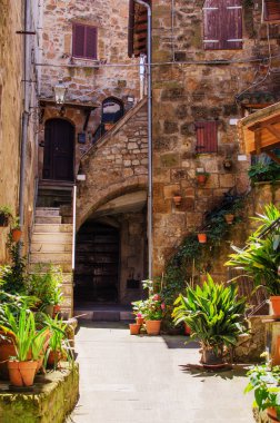 Pitigliano bitkilerin tam eski avluda. İtalya