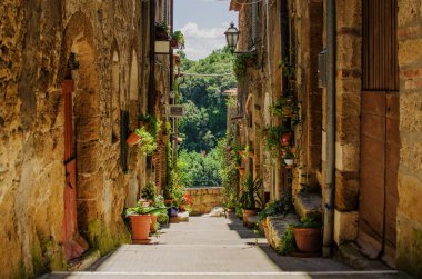 Pitigliano bitkilerin tam eski sokakta. İtalya