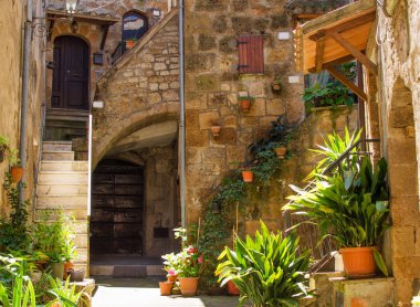 Pitigliano bitkilerin tam eski avluda.