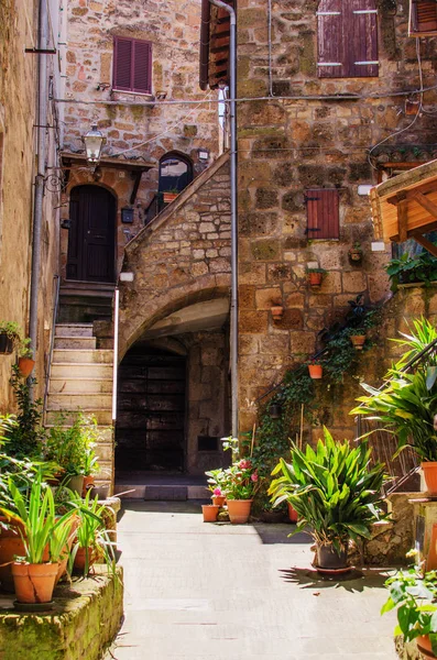 Starý Dvůr Pitigliano Plné Rostlin Itálie — Stock fotografie