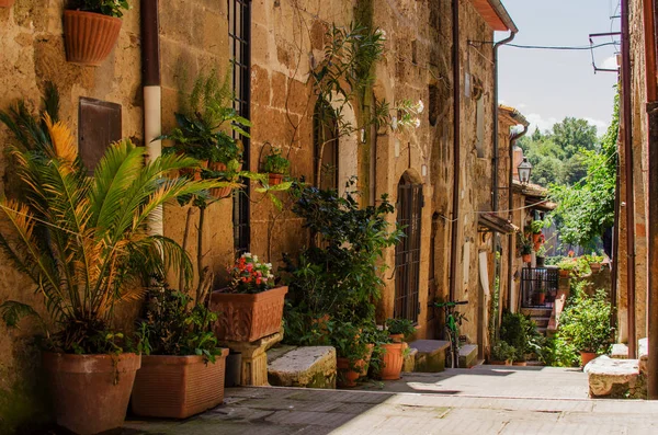 Старая Улица Пьельяно Заполнена Цветочным Горшком — стоковое фото