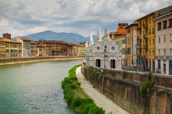 Kijk Rivier Arno Pisa Met Gotische Kathedraal Santa Maria Della — Stockfoto