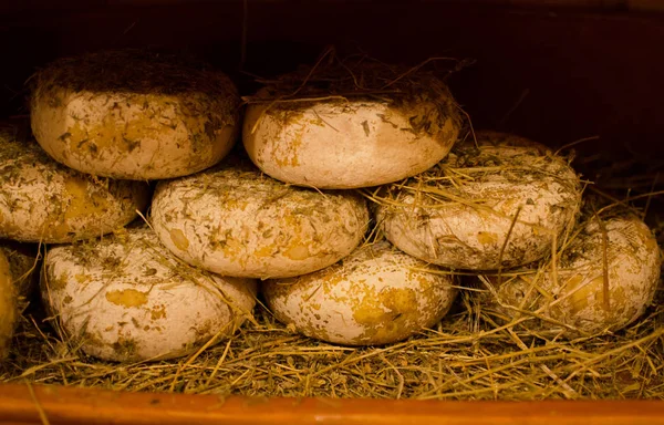 Räder Aus Pecorino Käse Mit Stroh Bedeckt Pienza Italien — Stockfoto