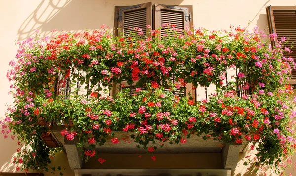 Erkély az antik ház virágai virágzik, Olaszország — Stock Fotó