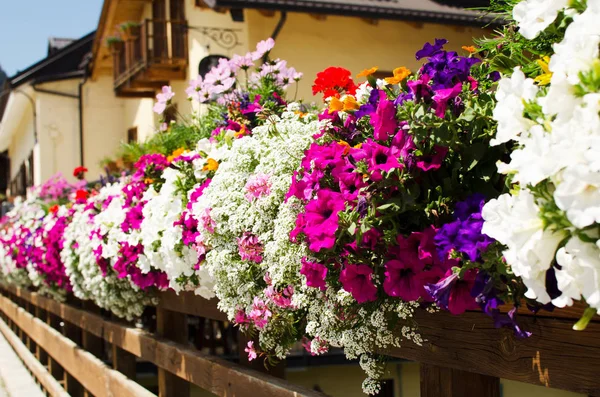 Houten brug met multicolor bloemen — Stockfoto