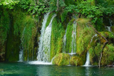 Plitvice Ulusal Parkı 'ndaki şelalenin ortasında