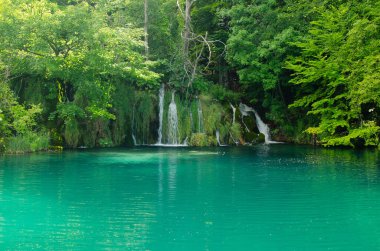 Hırvatistan 'ın Plitvice Ulusal Parkı' ndaki ormanlarla çevrelenmiş şelale ve turkuaz gölü