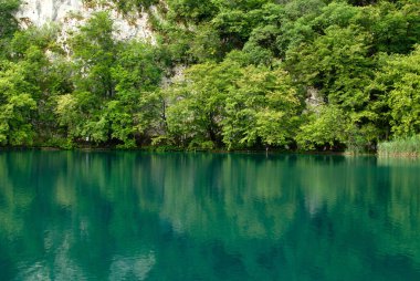 Yeşil Plitvice Gölü 'nde kayaların ve ağaçların yansıması