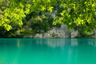 Turkuaz Gölü, Plitvice Ulusal Parkı 'nda kayalar ve güneşli yapraklar. Hırvatistan