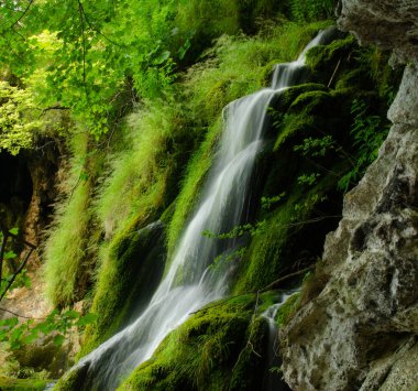Plitvice Ulusal Parkı 'ndaki yosunların ortasındaki şelale