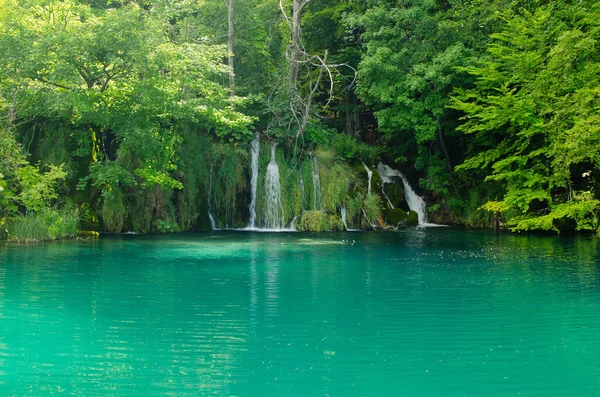 Hırvatistan 'ın Plitvice Ulusal Parkı' ndaki ormanlarla çevrelenmiş şelale ve turkuaz gölü