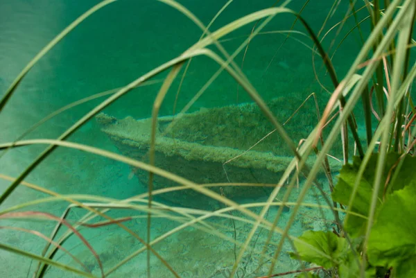 Elsüllyedt Hajó Plitvicei Nemzeti Parkban Horvátország — Stock Fotó