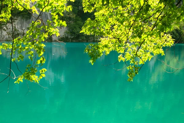 Lago Turquesa Folhagem Ensolarada Parque Nacional Plitvice Croácia — Fotografia de Stock