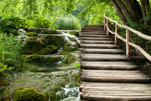 Plitvice Ulusal Parkı 'nda Tahta Köprü ve Şelale